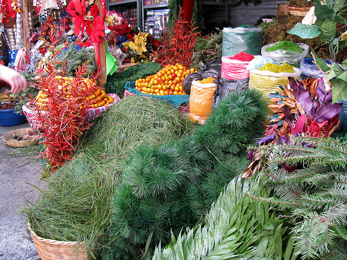 Olor-a-pino-en-Guatemala.jpg?1753832213309