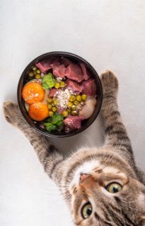 Proteina%20para%20gatos.png?1755055684308