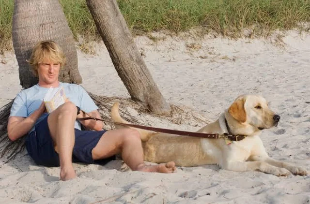 in-the-film-marley-and-me-2008-the-dog-marley-is-put-down-v0-6ggd5evgsjh81.webp?1750783691995