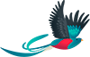 Quetzal, el ave nacional de Guatemala, con plumaje verde brillante y pecho rojo volando
